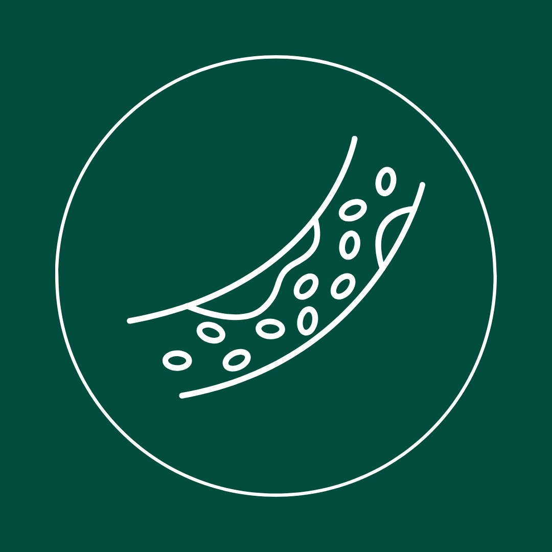 Cholestérol