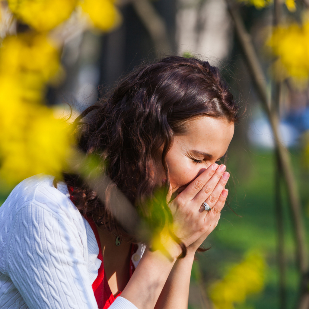 Pollen Pinterest Is the pollen radar showing a high reading? Green Vitality